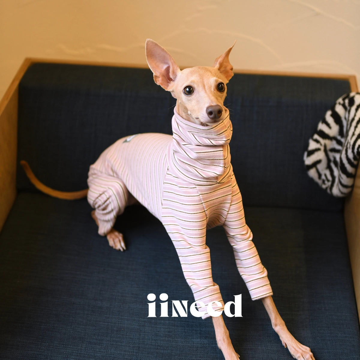 Striped Dog 4-Leg Base Layer