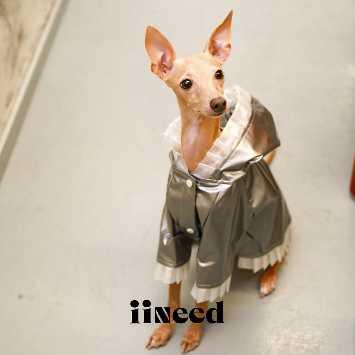 Color Block Dog Windbreaker