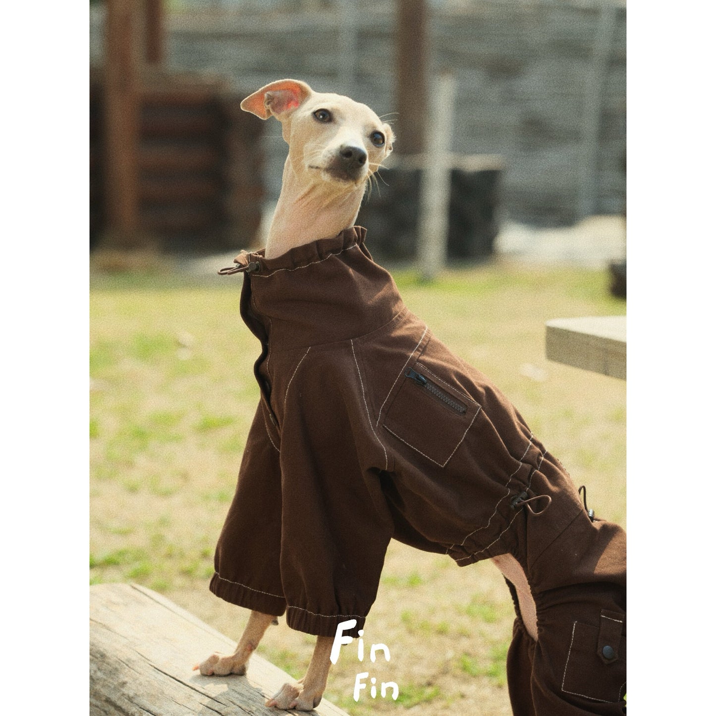 Four-Leg Utility Dog Coat with Contrast Stitching