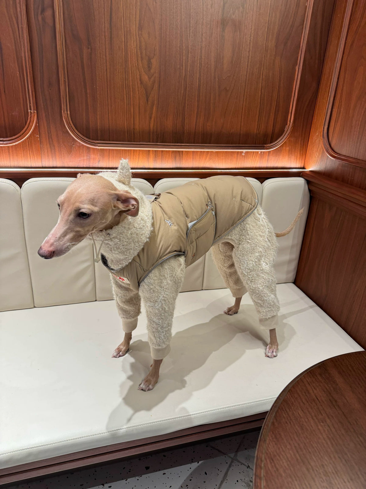 Devil Horn Embroidered Sherpa Four-Legged Dog Jumpsuit