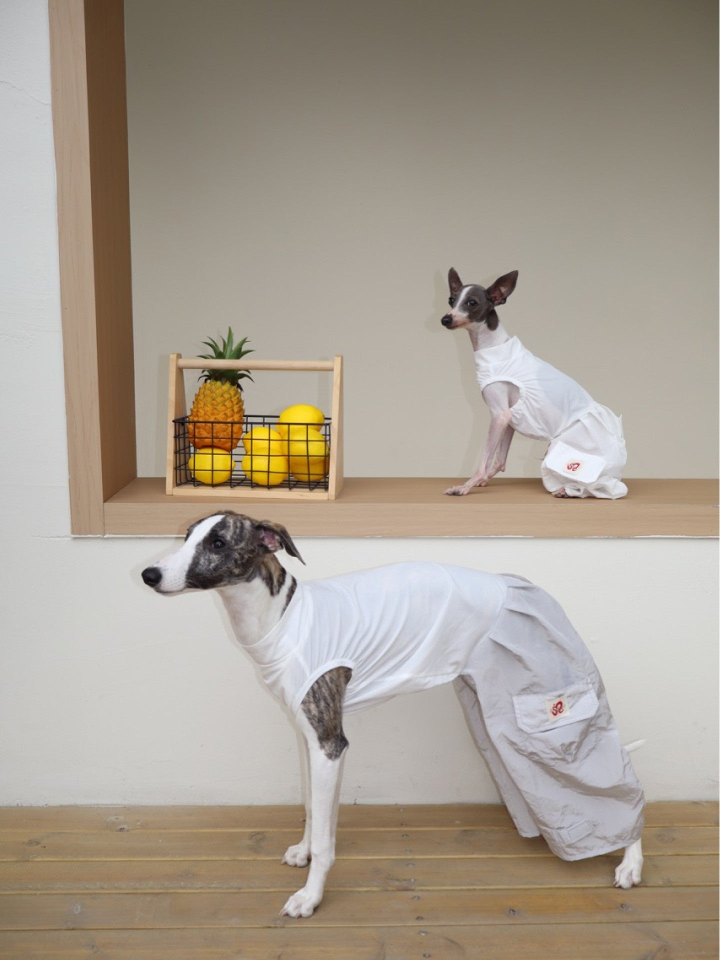 Summer Dog Cooling Shirt for Whippet
