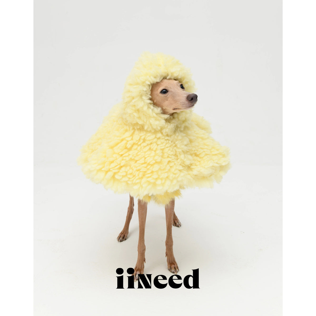 Butter Yellow Plush Cape Pet Hat