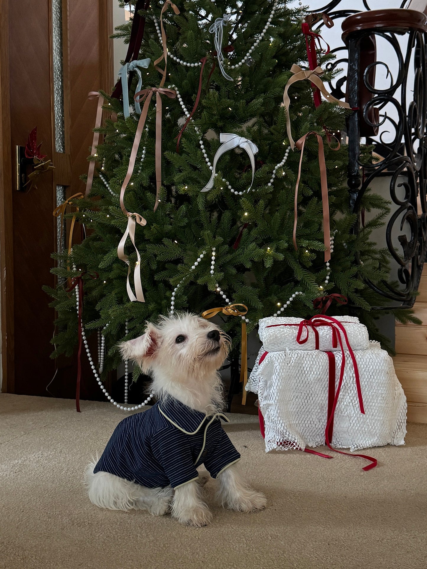 POXFFEE Matching Stripe Pajamas for Owners / Pets
