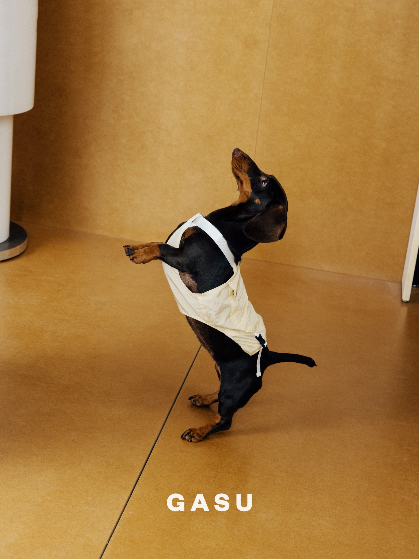 Lightweight Convertible Dog Overalls