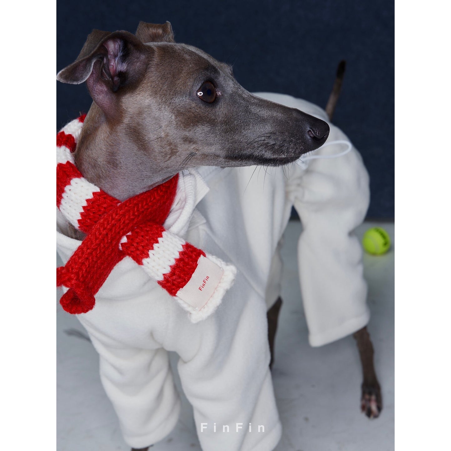 Striped Wool-Blend Dog Scarf for Small Breeds