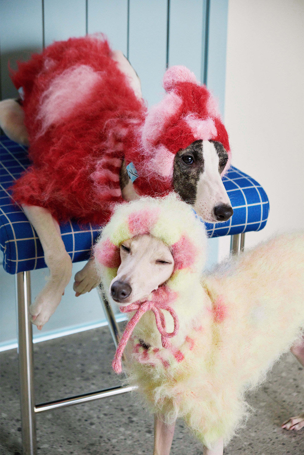 Alpaca Dot Pet Sweater