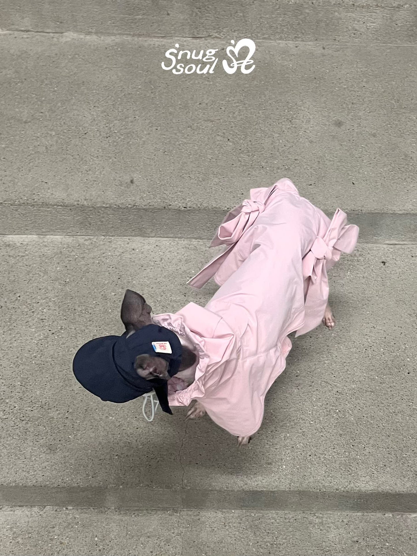Pink Bow Pet Raincoat