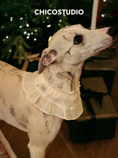 CHICO Pet Chiffon Ruffle Bib