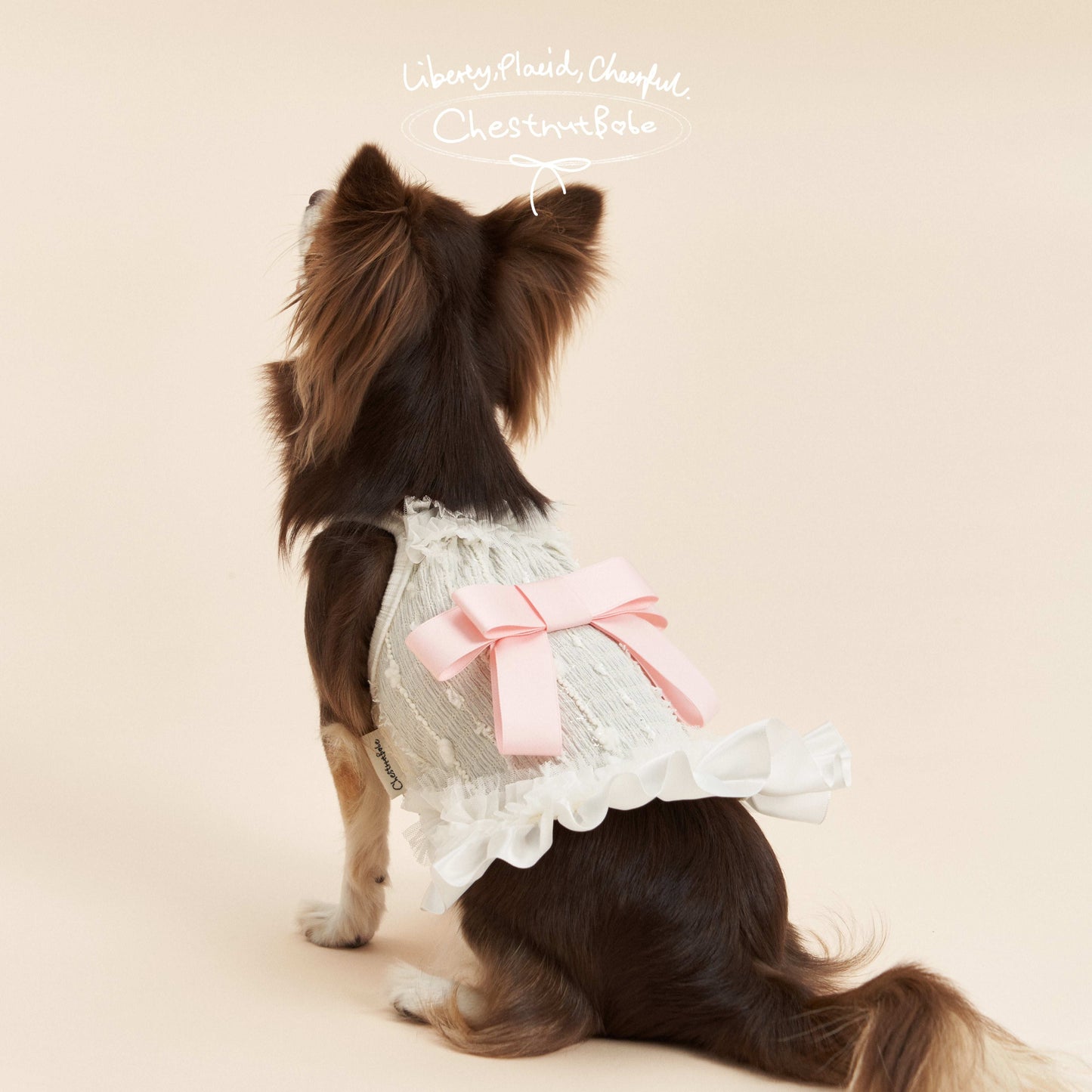 ChestnutBabe ButterSea Bow Strap Dress