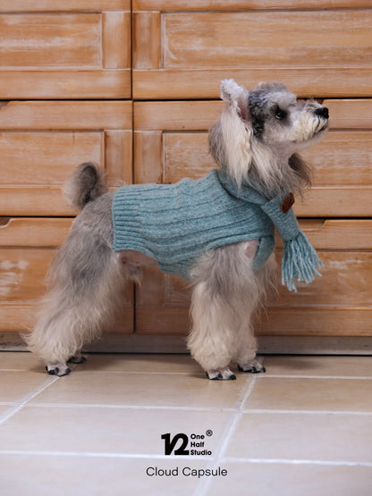 Schnauzer in a blue knit scarf seen from the side