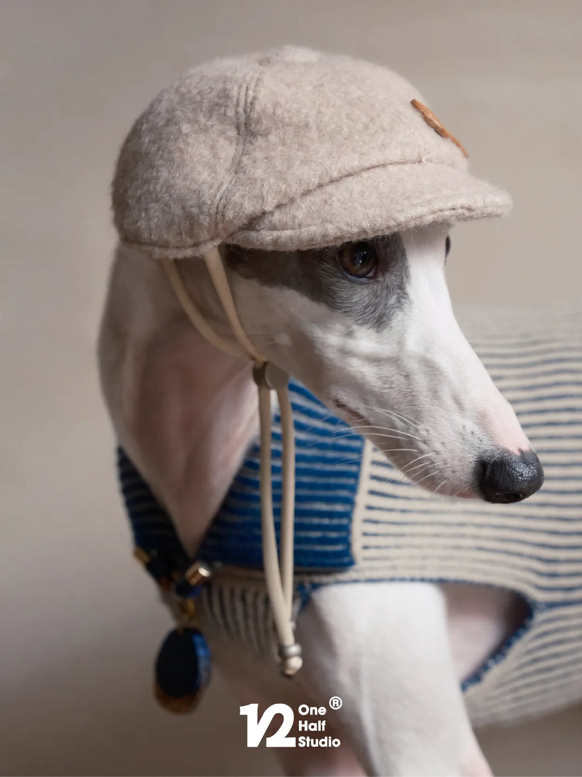 Whippet in a tweed newsboy cap