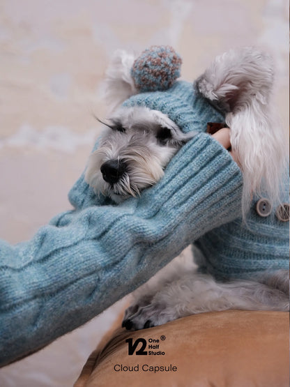 Schnauzer wearing a blue knit pom hat and scarf