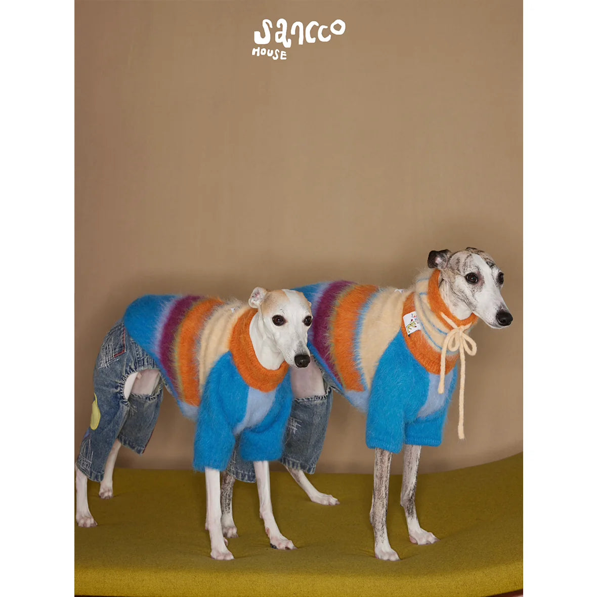 Two dogs in matching striped two-leg sweaters