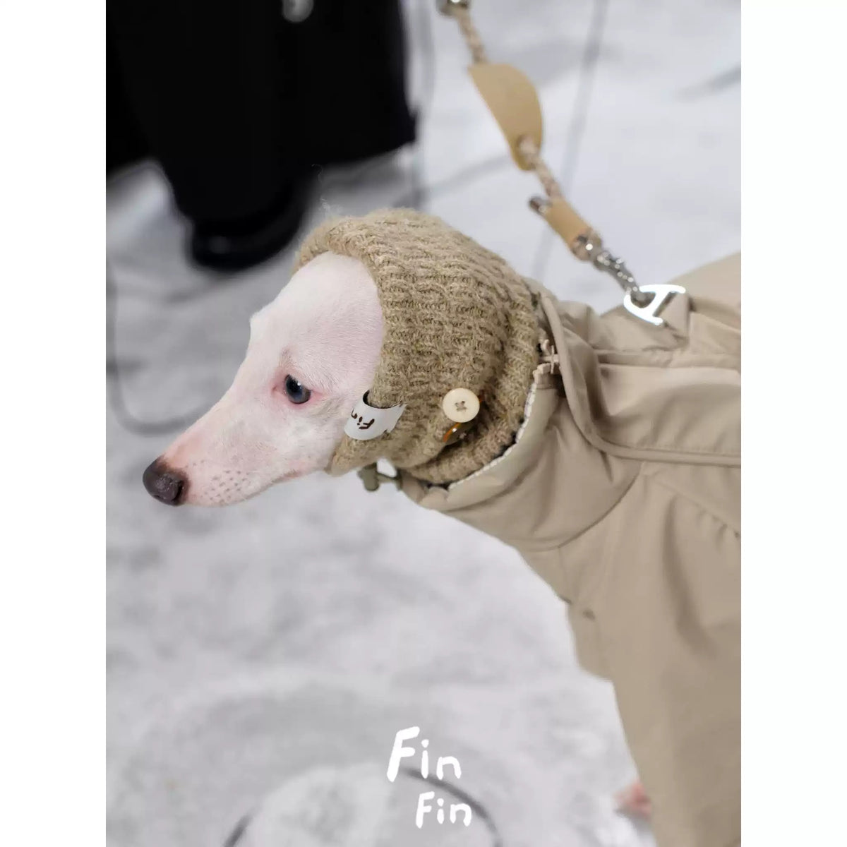 Knit Hood Snood for Dogs photo 5
