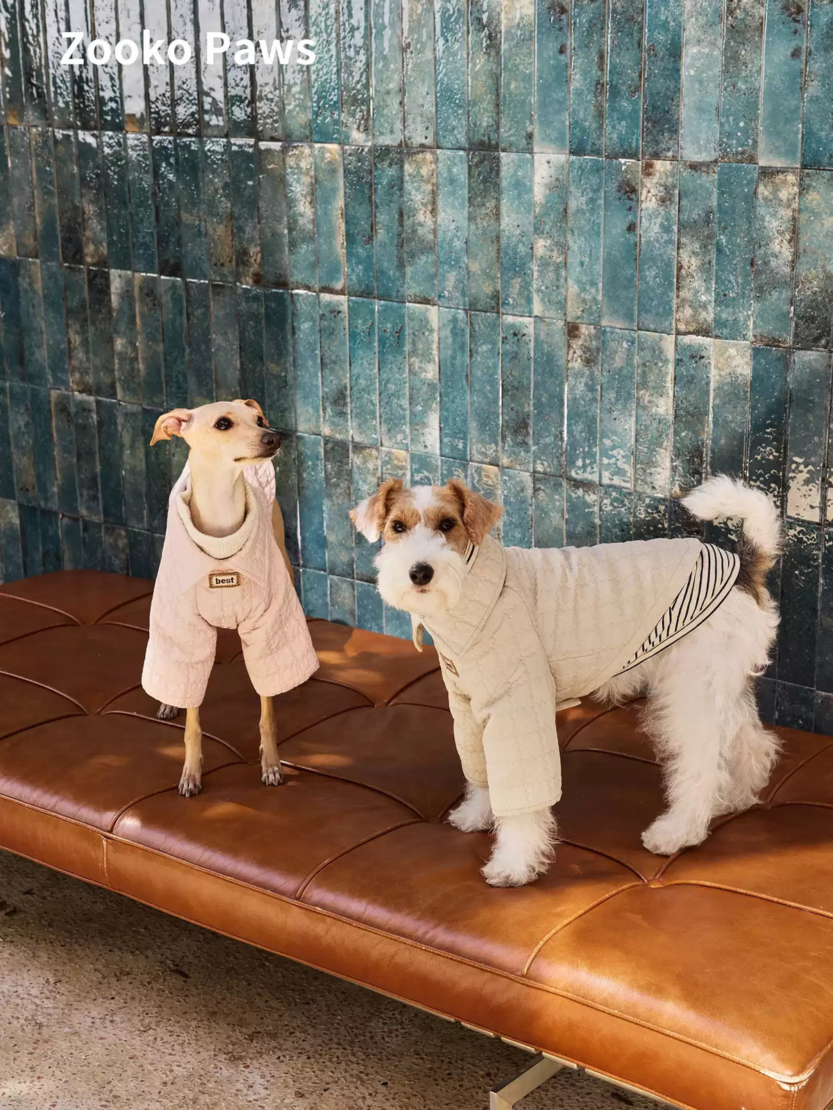 Biscuit texture dog jacket photo 5