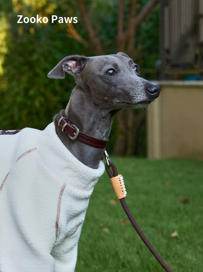 Whippet wearing a braided rope collar