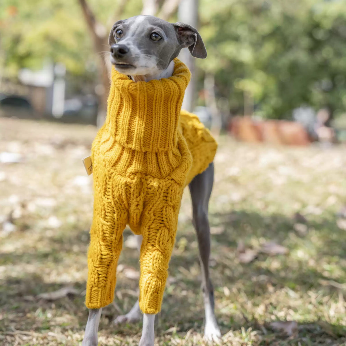 Yellow Hooded Knit Dog Sweater photo 5