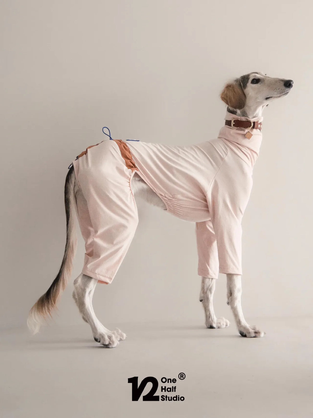 Whippet standing in a dusty pink four-leg suit