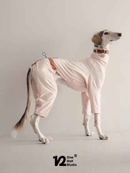 Whippet standing in a dusty pink four-leg suit