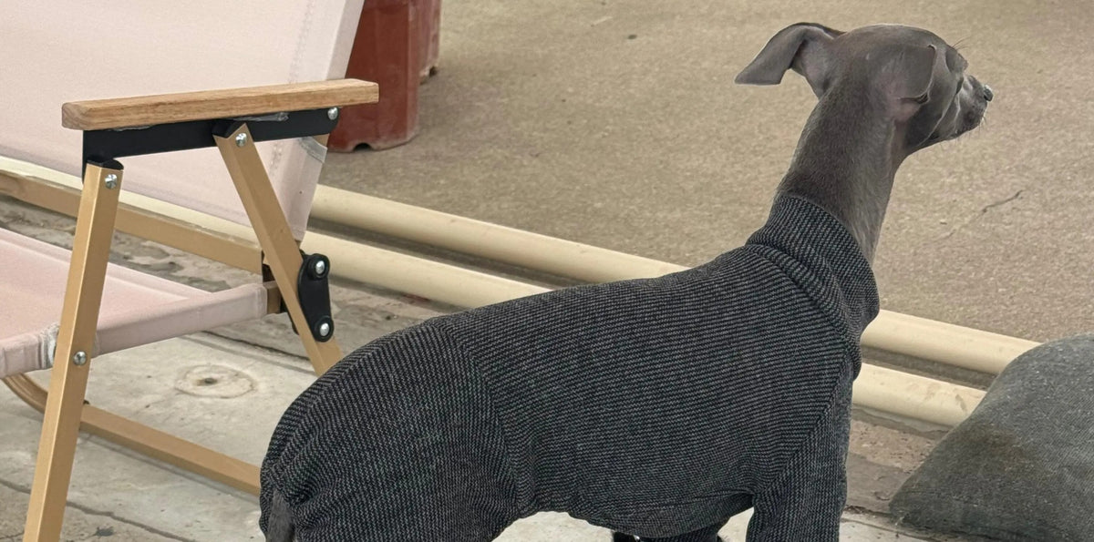 York Black Cashmere Touch Dog Onesie view 5