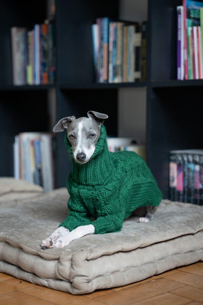 Dark Green Cable Knit Dog Sweater photo 5