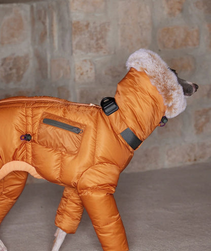 Close-up of the orange coat from behind, showing the raised plush hood, the webbing harness slot, a zipped pocket and the elastic drawcord at the waist