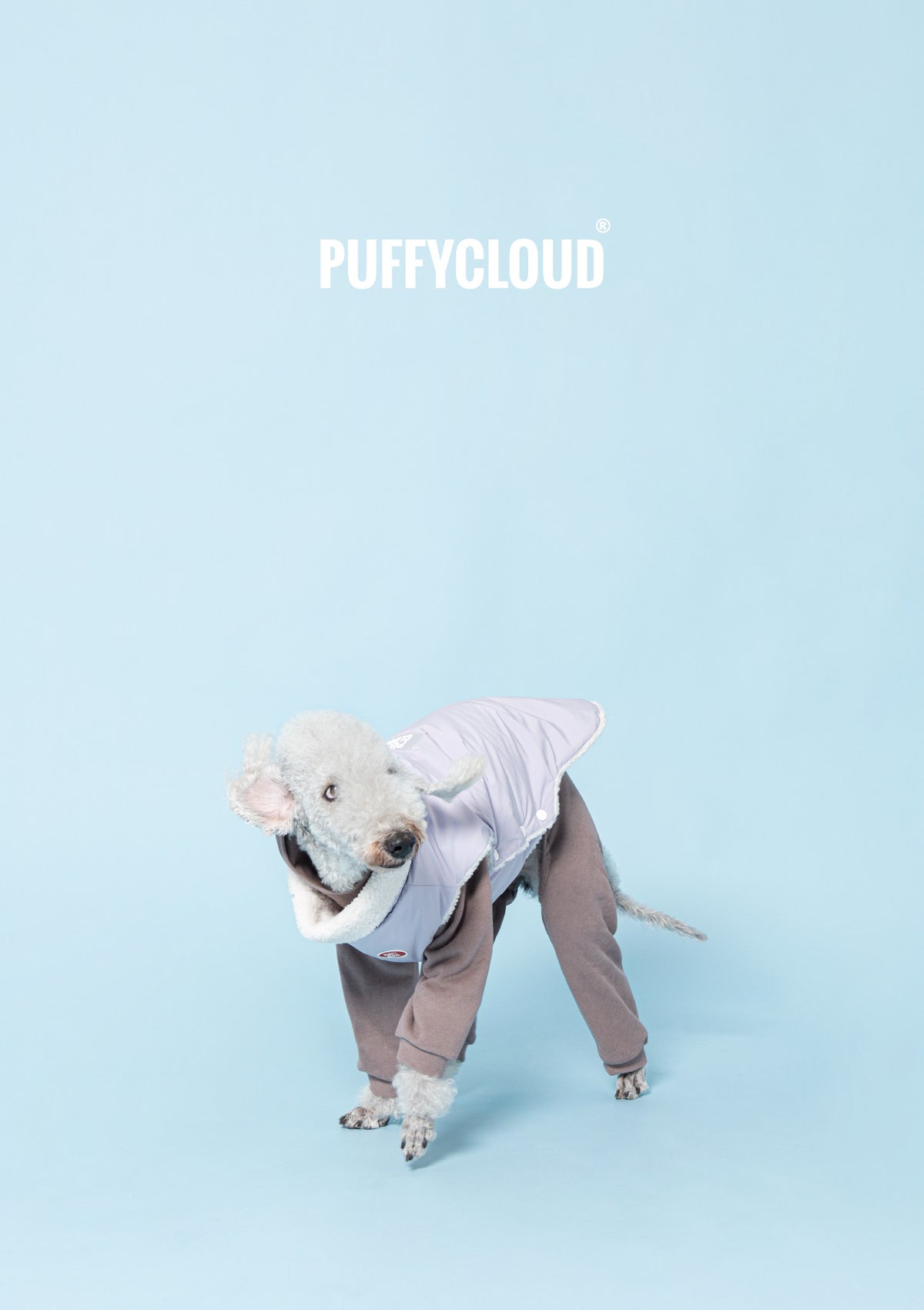 Dog Reversible Warm Vest