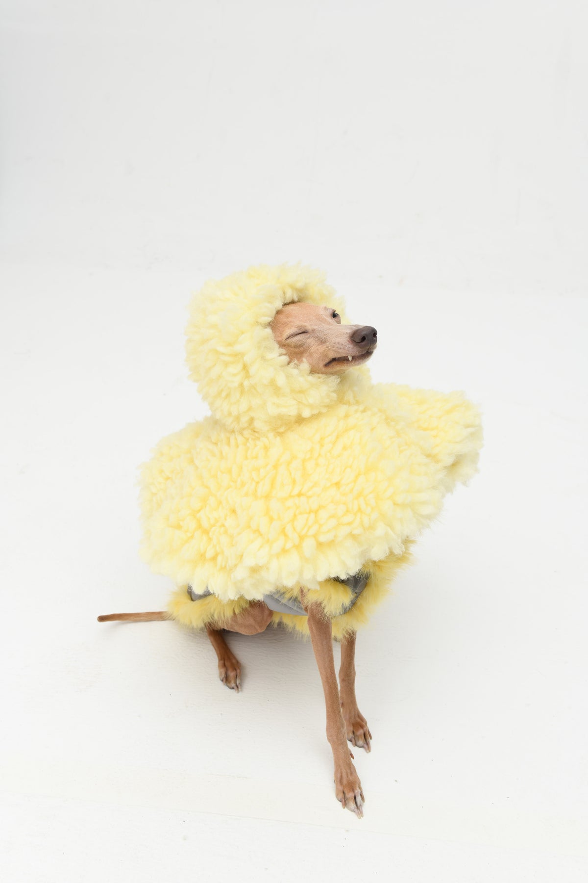 Butter Yellow Plush Cape Pet Hat