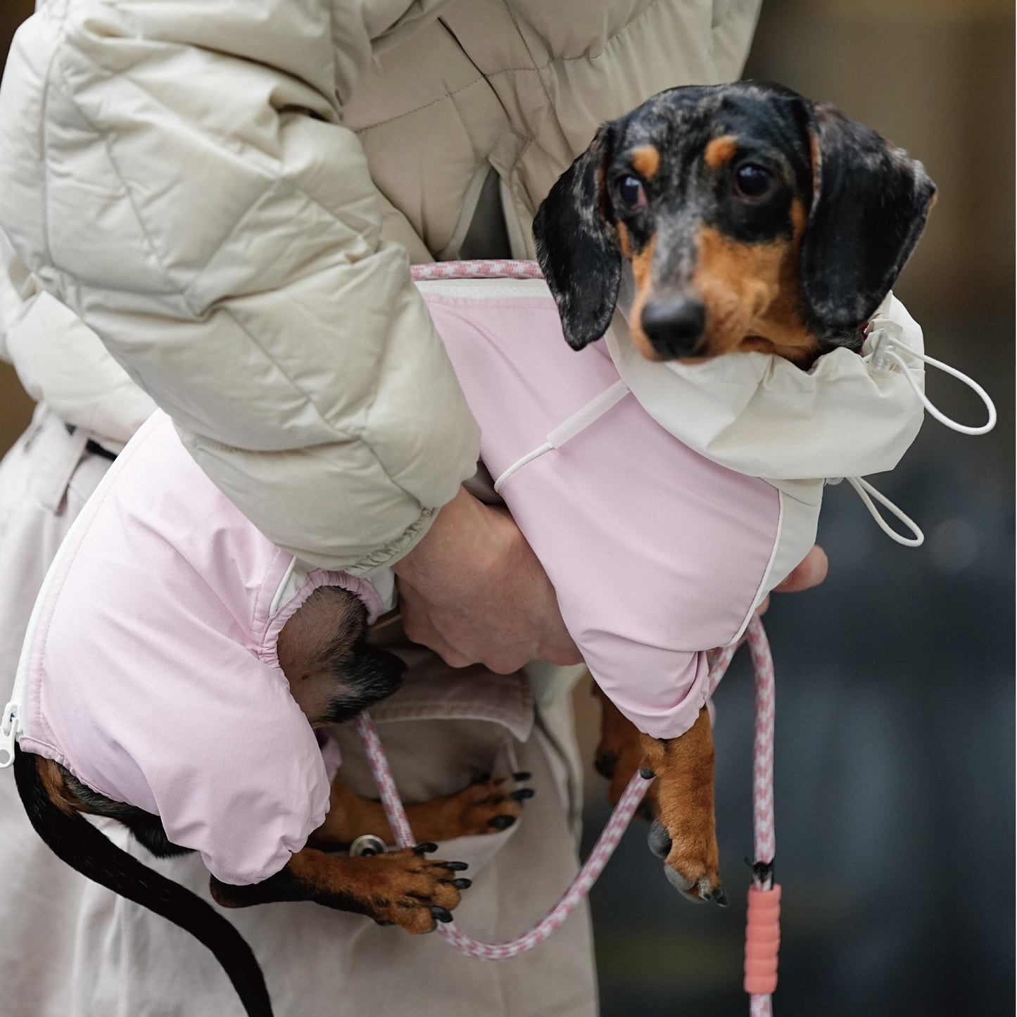 AYIKOKI Waterproof Windproof Dog Jacket