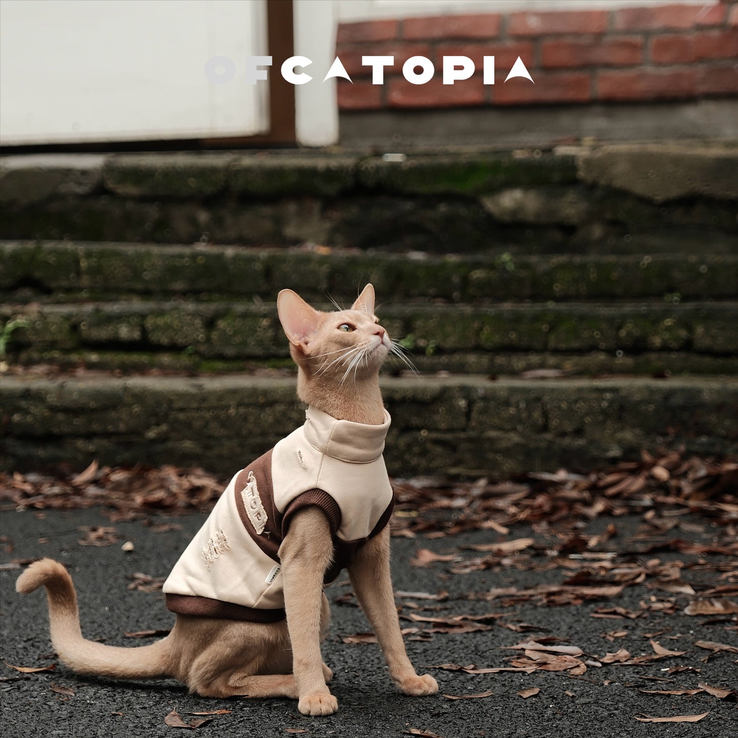 OfCatopia Destroyed Sleeveless Vest for Pets