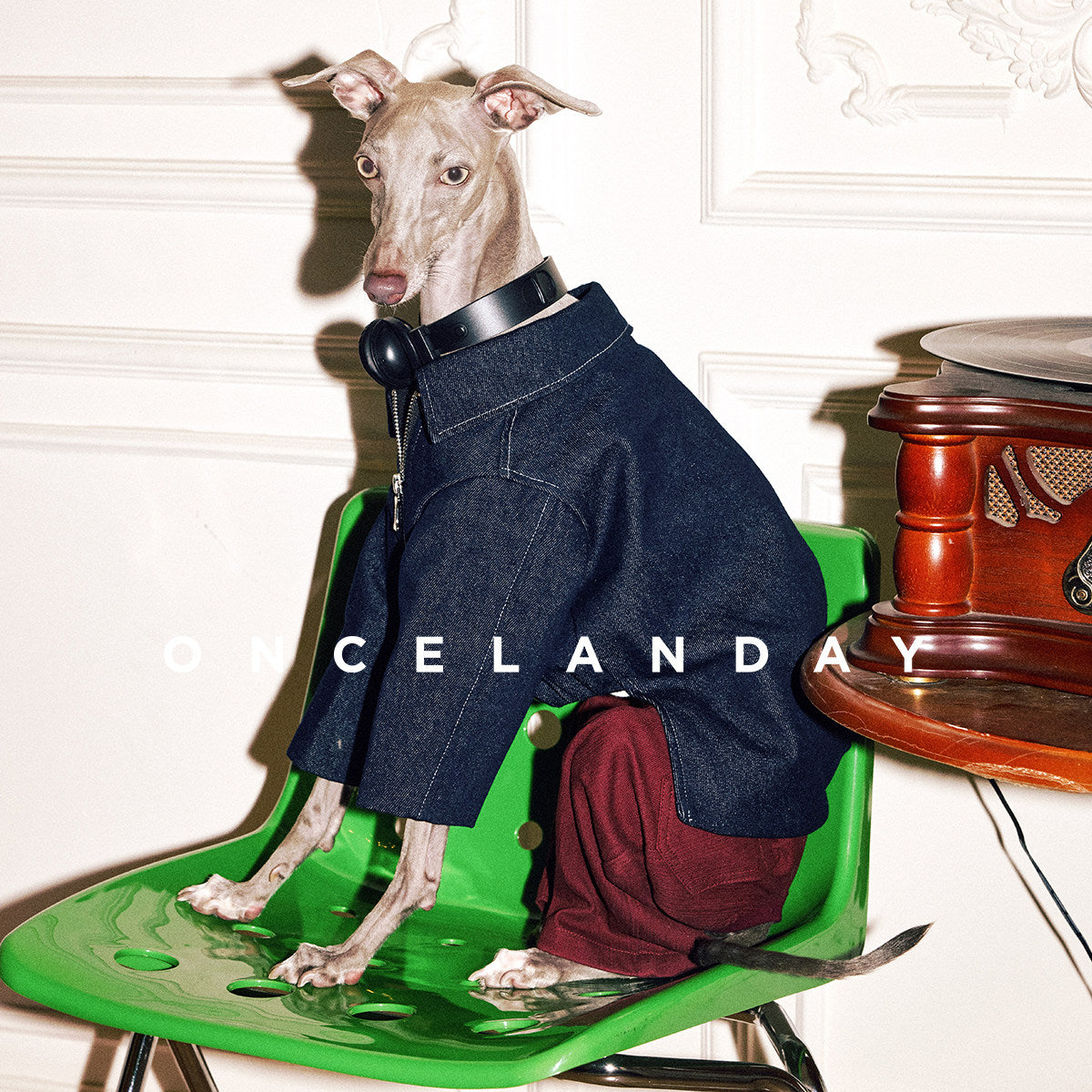 ONCELANDAY Fall Suede Denim Jacket for Whippets