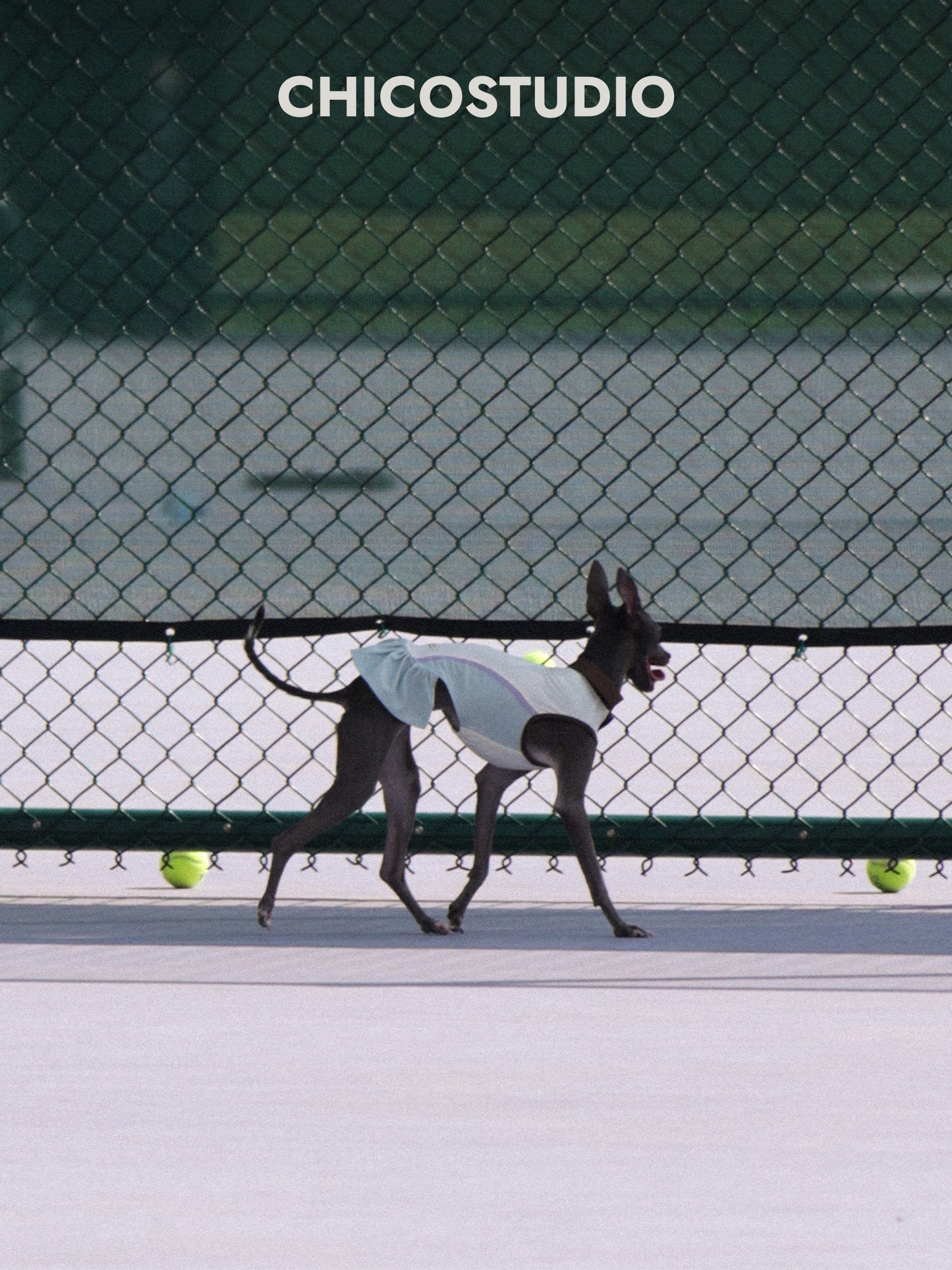 CHICO Dog Sun Protection Tennis Dress