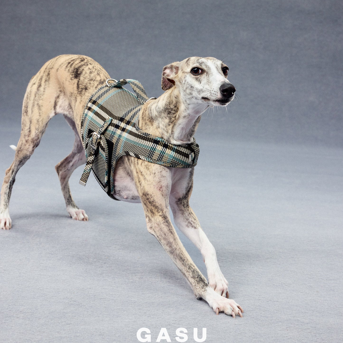 GASU Variété Italian Fabric Adjustable Dog Harness