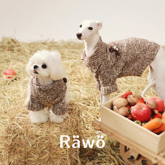 Ranch Story Handmade Mushroom Dog Sweaters Two-Leg Knit Top