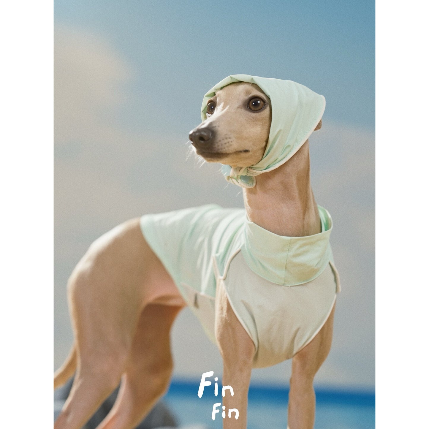 Summer Cooling Dog Bandana