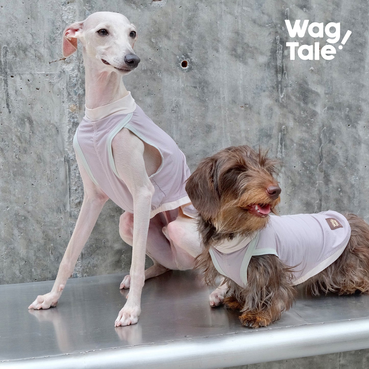 WagTale Cooling Dog Vest