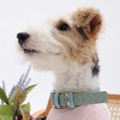 Braided PU Pet Collar for Dog & Cat with Scarf Neck Protector
