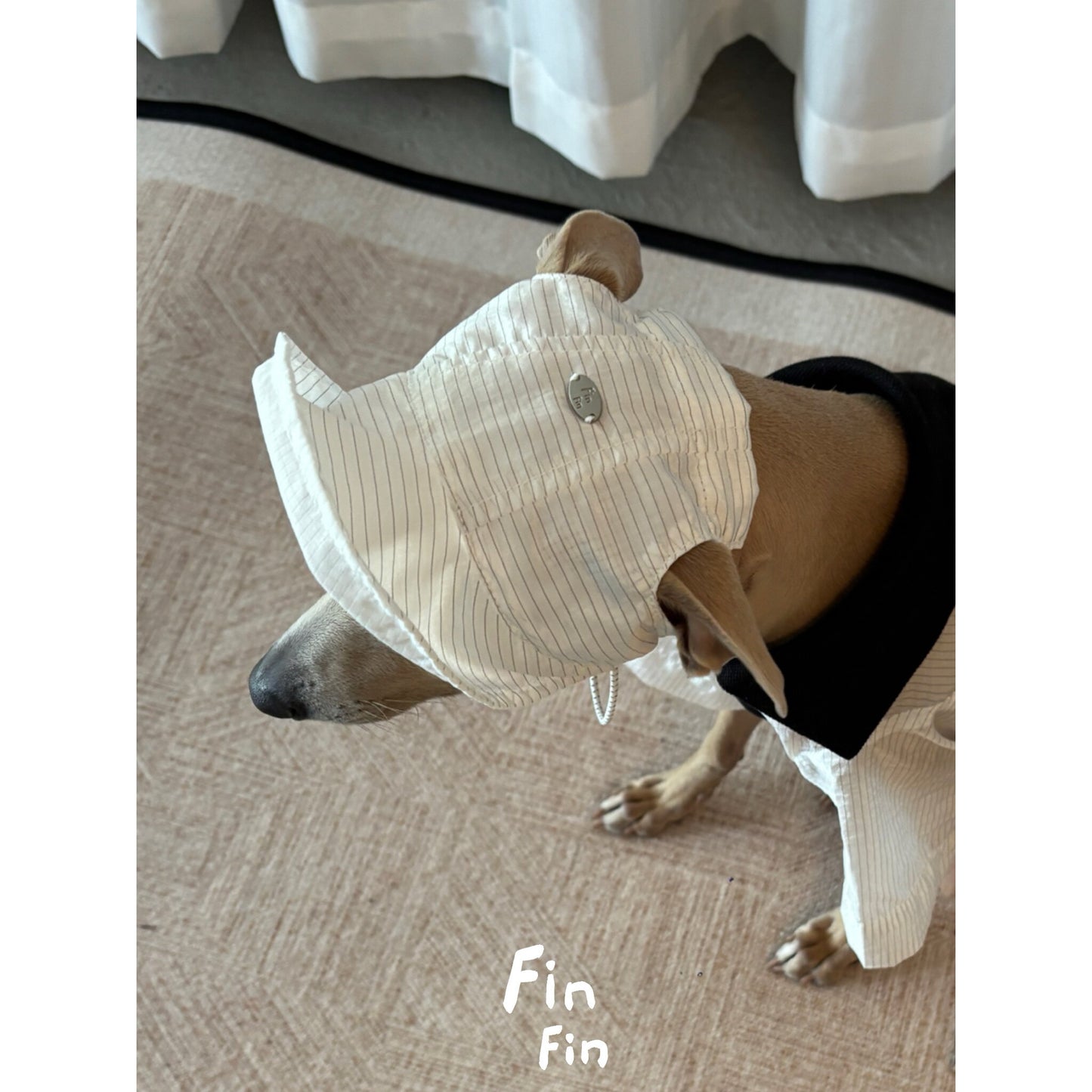 Cooling Dog Sun Hat