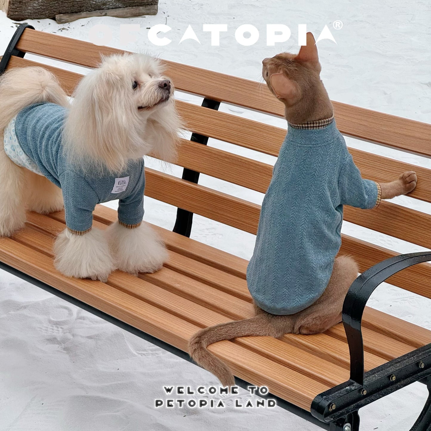 OfCATOPIA Soft Double-Collar Plaid Knit Sweater