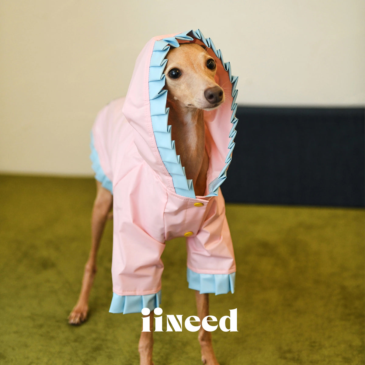 Color Block Dog Windbreaker