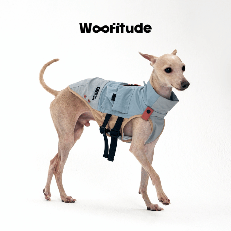 Tactical Nylon Dog Utility Vest
