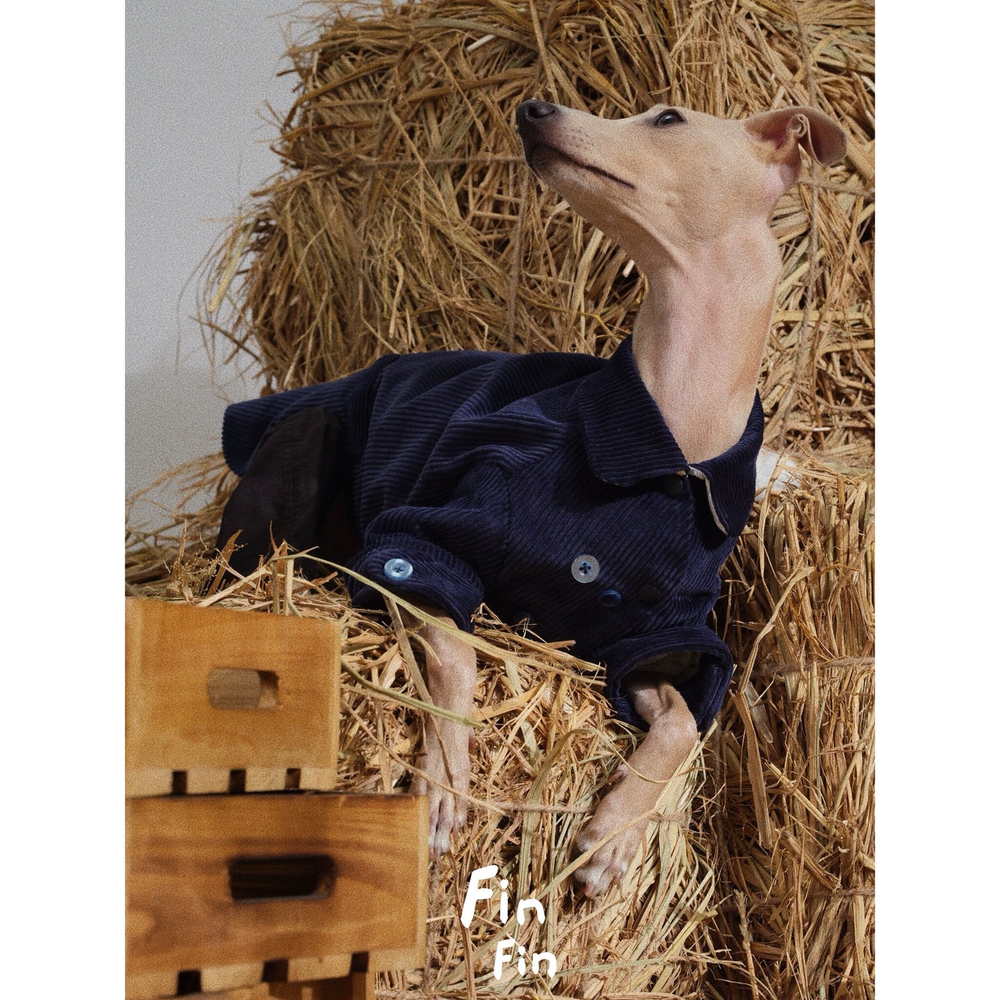 Cotton Corduroy Dog Jacket with Floral Lining