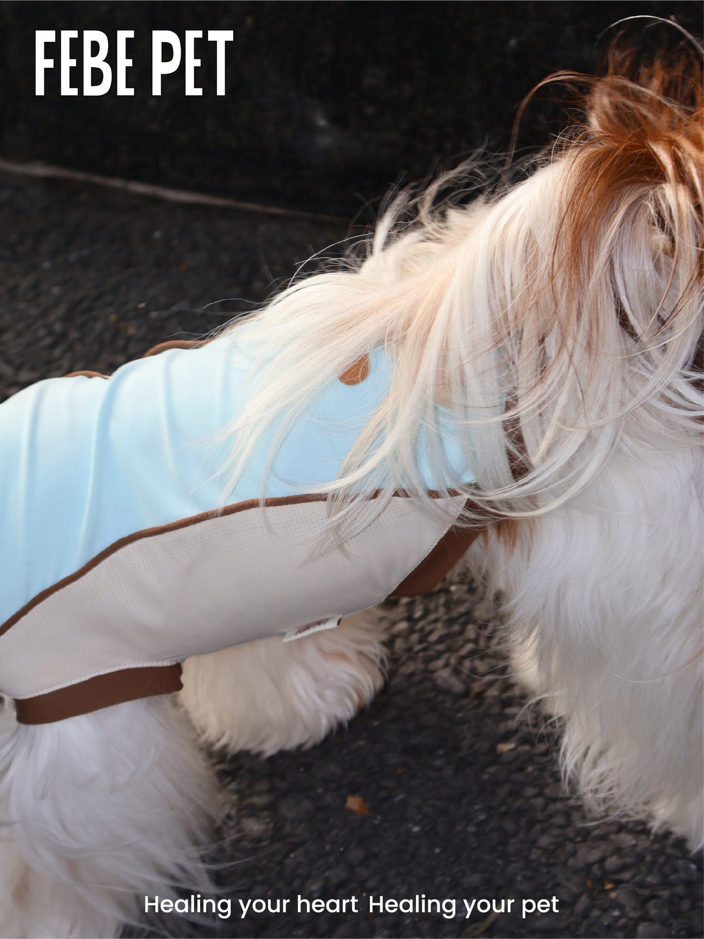 FEBE PET High-Elastic Cooling Sun Vest