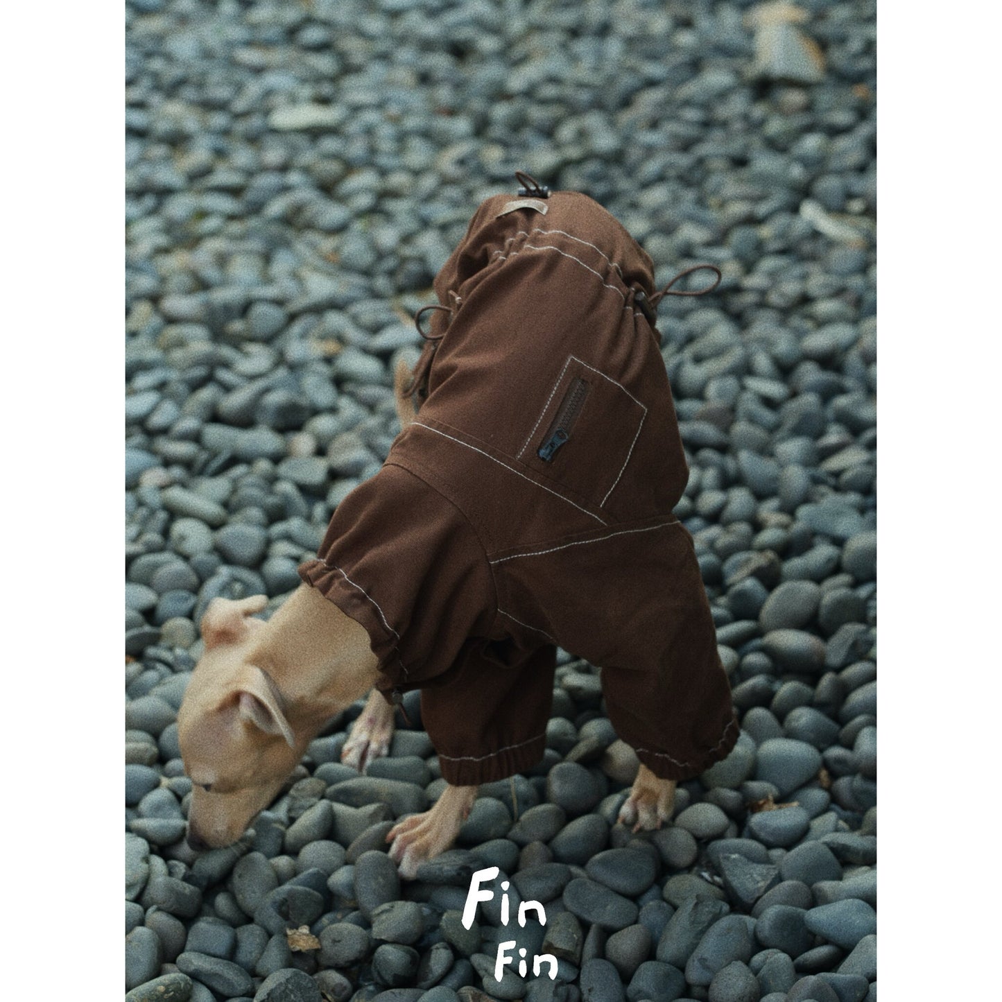Four-Leg Utility Dog Coat with Contrast Stitching