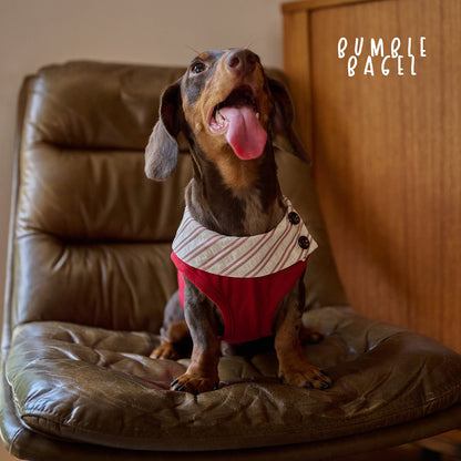 Bumble Bagel Kent Raspberry Striped Collar Dog Shirt