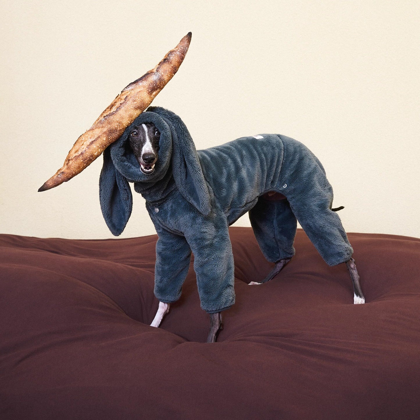 Rabbit Ear Fleece Dog Jumpsuit Hoodie