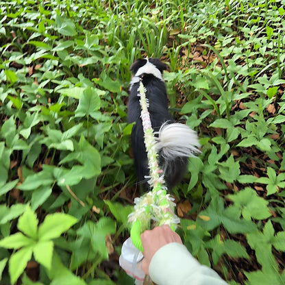Correa de perro de cuerda de algodón hecha a mano