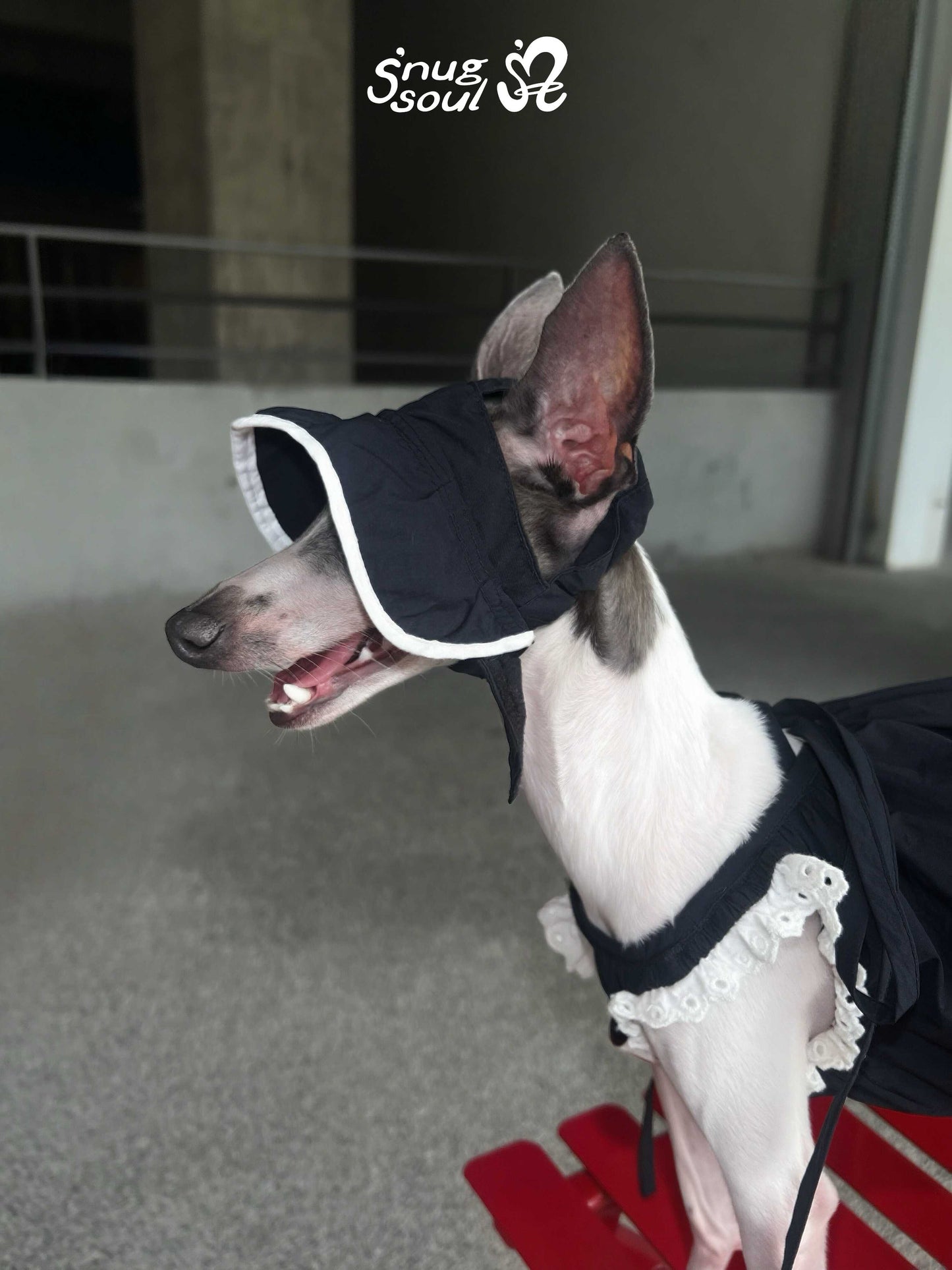 Snuggsoul Water Resistant Dog Hat