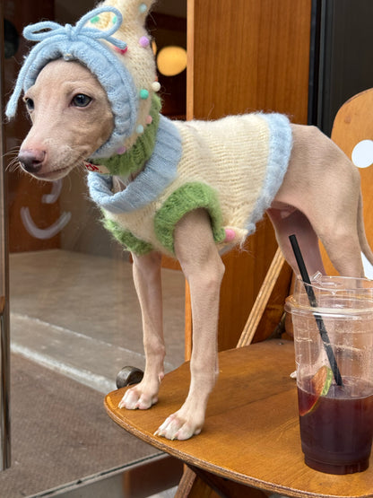 Wool Dog Vest & Pom Pom Hat
