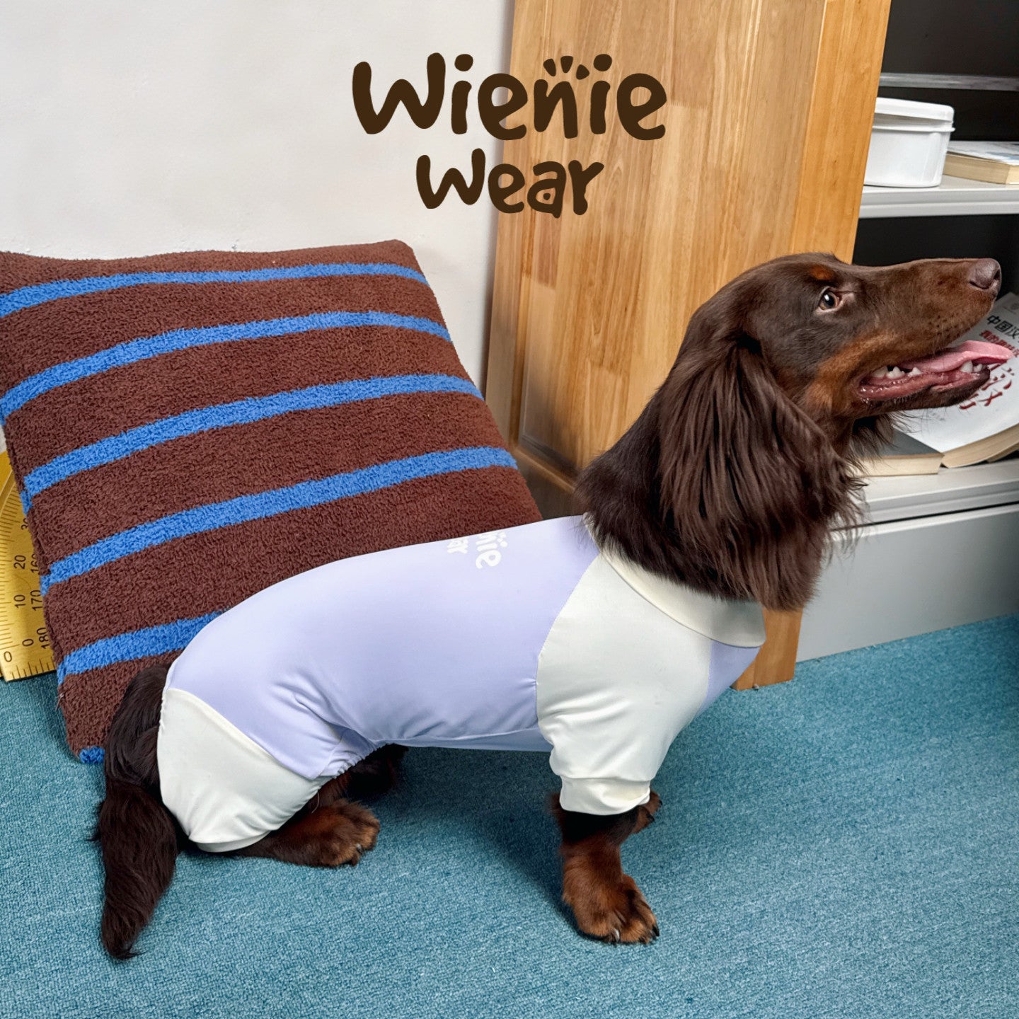 UPF50+ Cooling Dog Jumpsuit